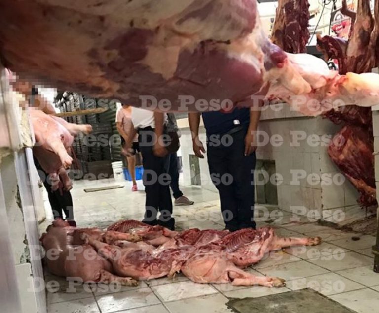 Exhiben Venta De Carne De Cerdo Pero Del Piso En Me